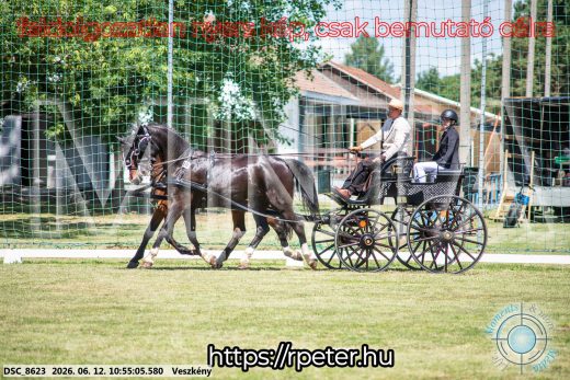 Mintakép 20260612-562