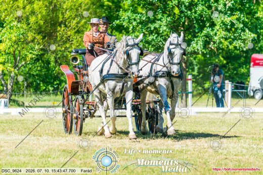 Mintakép 20260710-1008