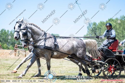 Mintakép 20260711-1140