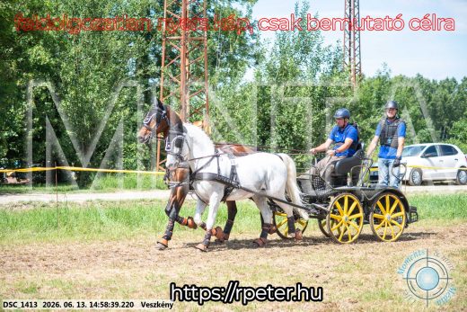 Mintakép 20260613-1011
