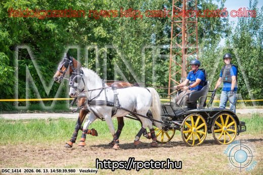 Mintakép 20260613-1012