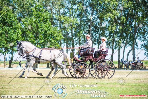 Mintakép 20260710-1025