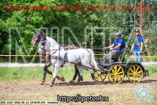 Mintakép 20260613-1013