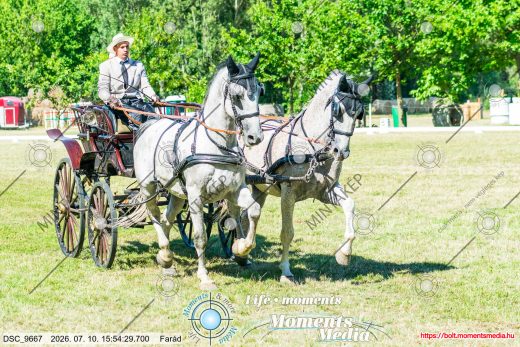 Mintakép 20260710-1037