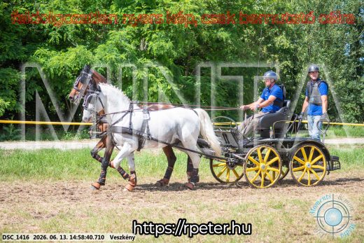 Mintakép 20260613-1014