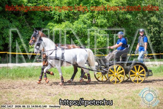 Mintakép 20260613-1015