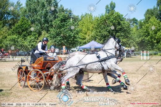 Mintakép 20260711-1158