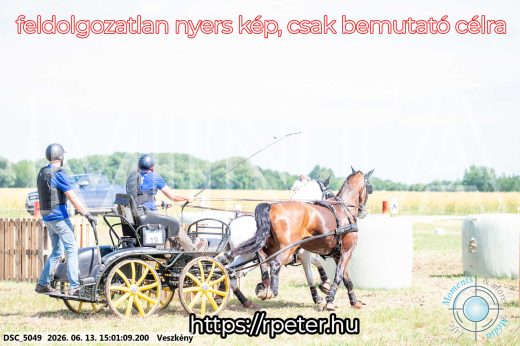 Mintakép 20260613-1018