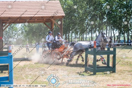 Mintakép 20260711-1183