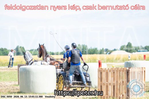 Mintakép 20260613-1019