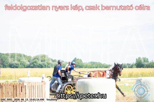 Mintakép 20260613-1020