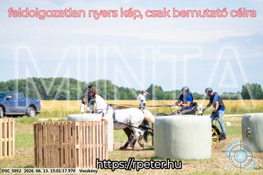 Mintakép 20260613-1021