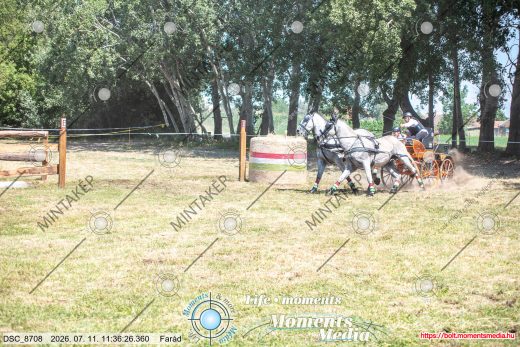 Mintakép 20260711-1212