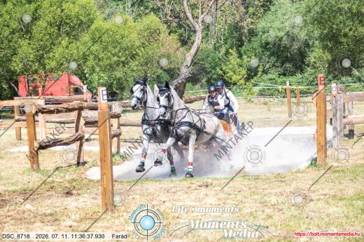 Mintakép 20260711-1220