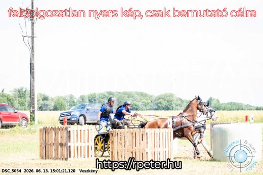 Mintakép 20260613-1023
