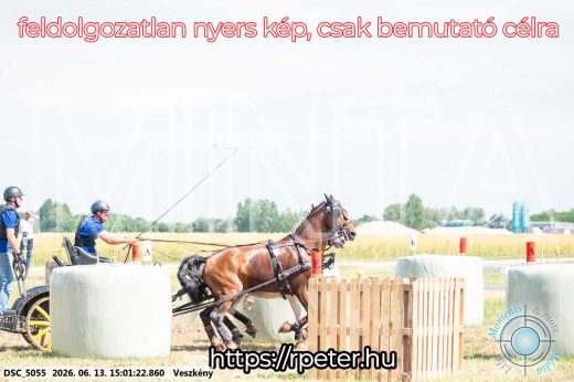 Mintakép 20260613-1024
