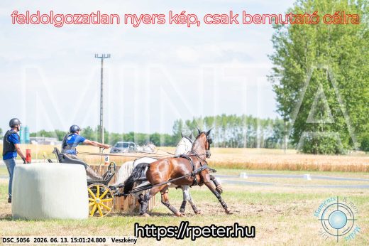 Mintakép 20260613-1025