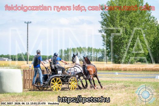 Mintakép 20260613-1026