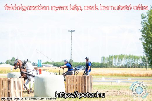 Mintakép 20260613-1027
