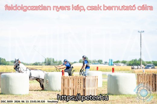 Mintakép 20260613-1028
