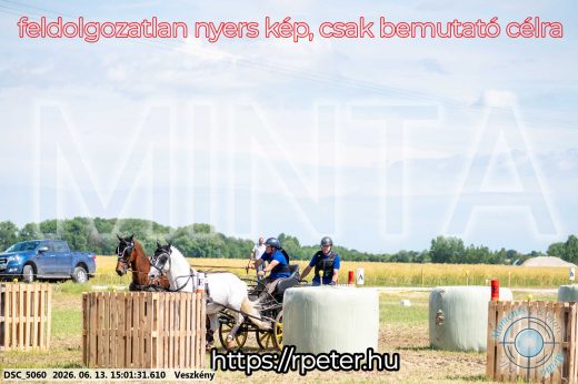 Mintakép 20260613-1029