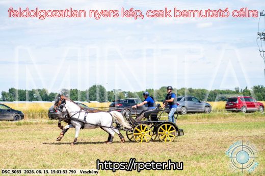 Mintakép 20260613-1032