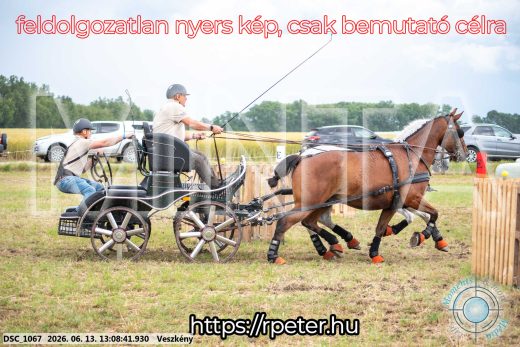 Mintakép 20260613-9