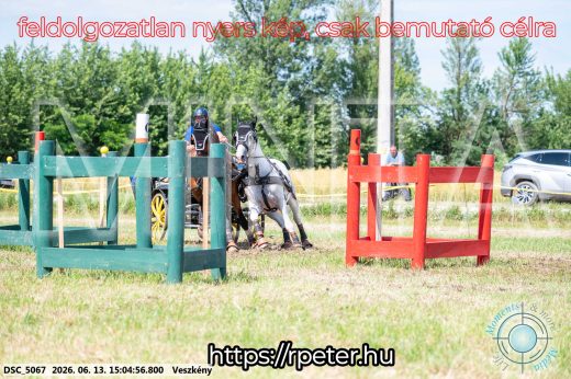 Mintakép 20260613-1037