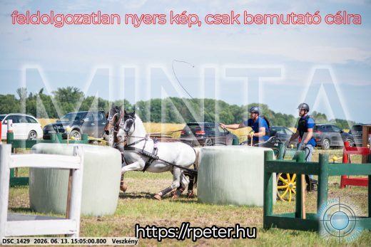 Mintakép 20260613-1039