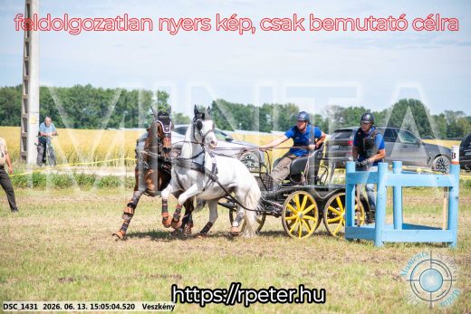 Mintakép 20260613-1041
