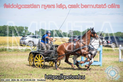 Mintakép 20260613-1043