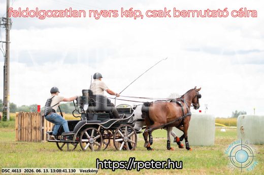 Mintakép 20260613-10