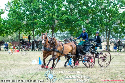 Mintakép 20260712-799