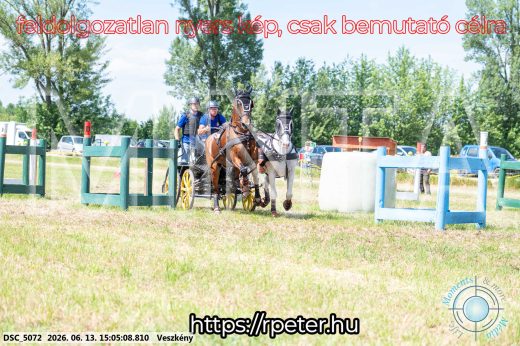 Mintakép 20260613-1047