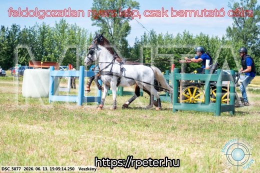 Mintakép 20260613-1049