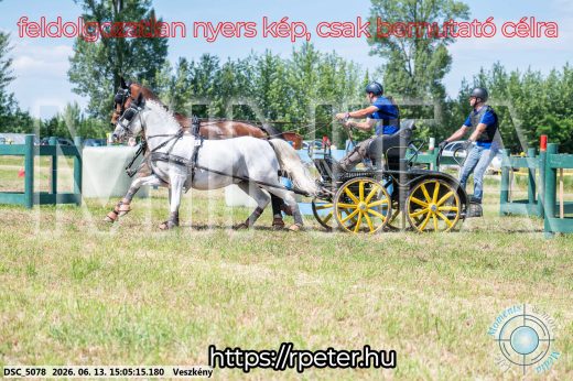 Mintakép 20260613-1051