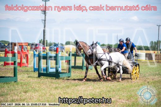 Mintakép 20260613-1054