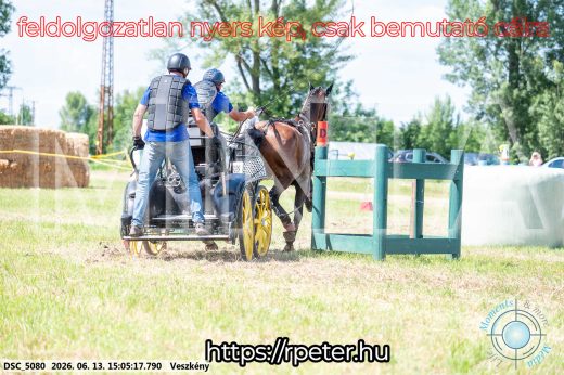 Mintakép 20260613-1055
