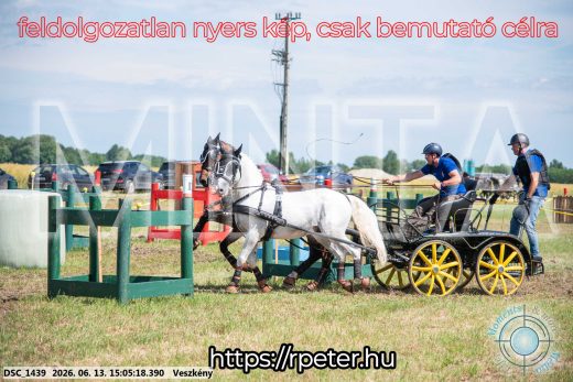 Mintakép 20260613-1057