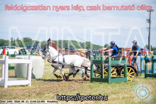 Mintakép 20260613-1059