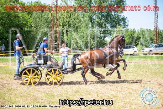 Mintakép 20260613-1060