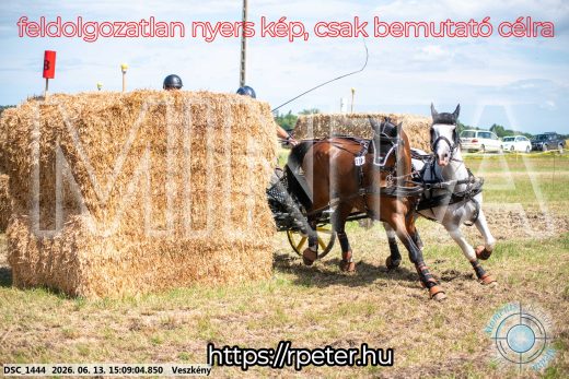 Mintakép 20260613-1062