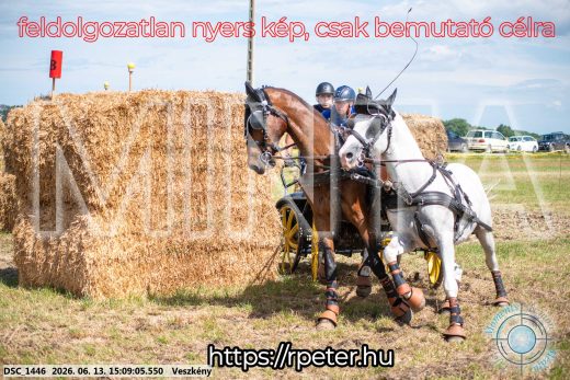 Mintakép 20260613-1064