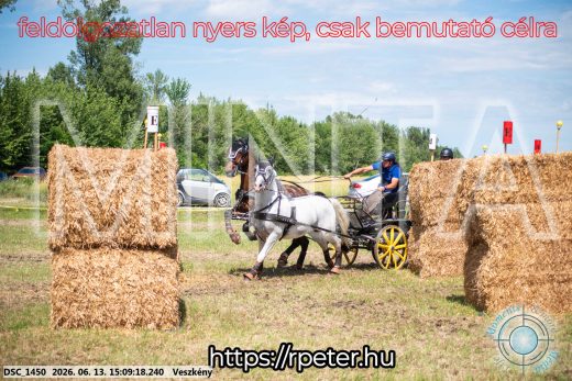 Mintakép 20260613-1068