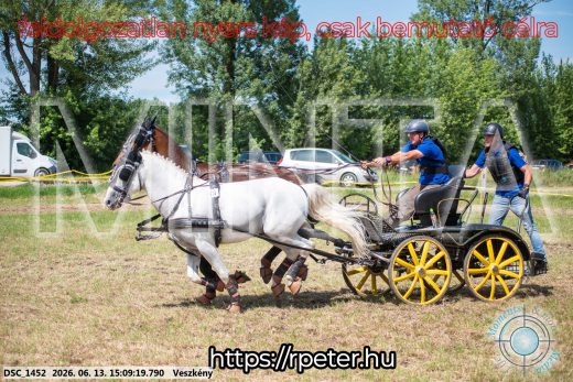 Mintakép 20260613-1070