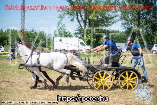Mintakép 20260613-1072