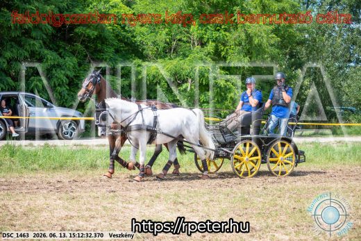 Mintakép 20260613-1073