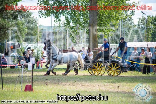 Mintakép 20260613-1074
