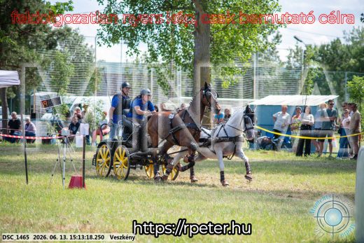 Mintakép 20260613-1075