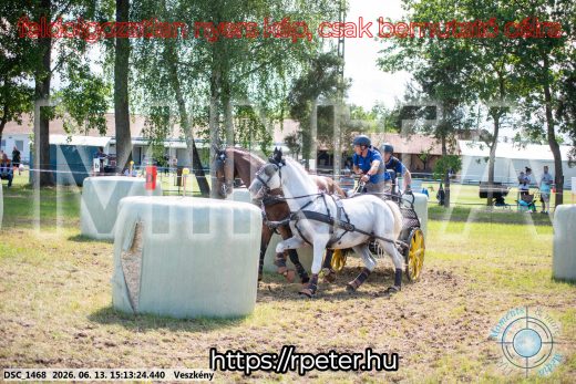 Mintakép 20260613-1077